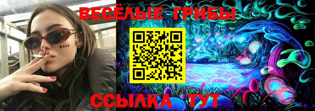 Галлюциногенные грибы Cubensis Владикавказ