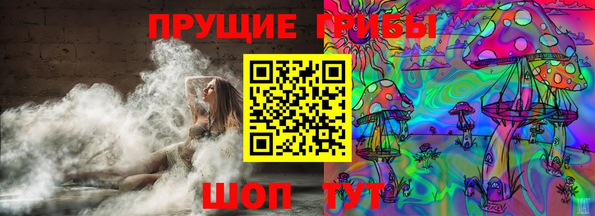 Владикавказ  где купить наркоту  Вход с VPN  Псилоцибиновые грибы MAGIC MUSHROOMS 